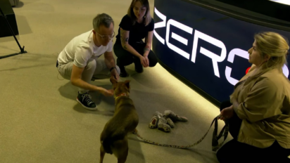 Ruszył Kanał Zero - Świetna inicjatywa Stanowskiego ze schroniskiem!