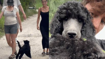 Co dalej ze związkiem Marcina Dubiela i Natsu? - Wspólnie odebrali nowego psa