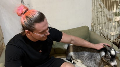 Walka Marcoń vs Dubiel?! Natan zdradził szczegóły