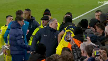 Piłkarze Tottenhamu kontra kibice. Konkretne zamieszanie